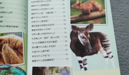 探索动物王国，小学生百科常识100题