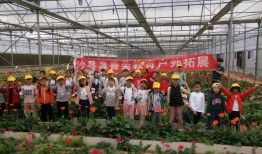 花与花搭配的花语和寓意，解读花卉组合的深层含义