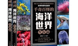 百科全书知识竞赛，探索知识的海洋