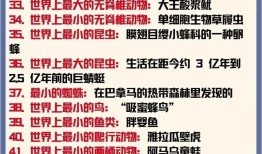 及答案大全，探索动物世界的奥秘