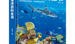 探索知识的海洋，儿童百科系列书籍推荐