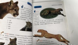 动物百科，题目及答案解析