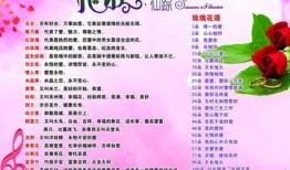 花与花搭配的花语和寓意，传递情感的艺术