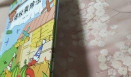 儿童百科系列，探索除法的奥秘 除法VCD的趣味学习之旅