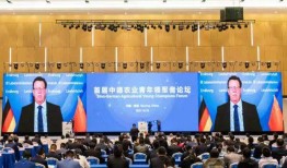 央视，中国媒体的领军者与文化传播的桥梁