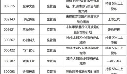 探索上证e互动平台官网，投资者的互动新天地