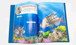 探索知识的海洋，儿童百科系列书籍推荐