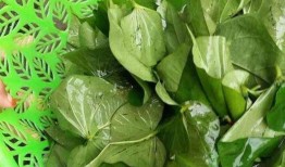 探索降糖茶，天然草本饮品的潜力