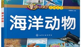 动物百问百答视频大全，揭秘自然界的奇妙世界