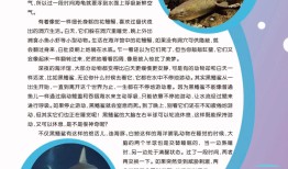 百科常识读后感，知识海洋中的璀璨明珠