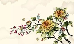 花与花名，自然界的语言与文化传承