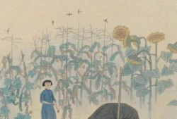 中国传统文化读后感，传承与创新的和谐共鸣