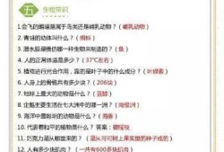 生活常识百科知识竞赛题及答案，提升你的日常智慧