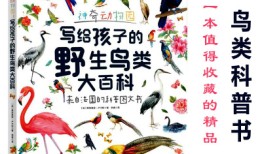 探索动物王国，小学生百科常识100题