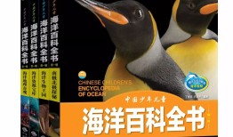 投资者互动平台官网，连接资本市场与投资者的桥梁