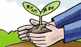探索可欣互动平台官网，连接你我，共享无限可能