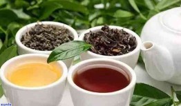 探索有助于降血脂降血压的茶类，健康饮品的科学选择