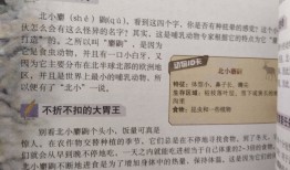 动物王国的奇妙百科，题目与答案