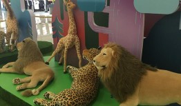幼儿园必刷题库4000题，开启孩子智慧之门的金钥匙
