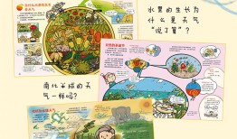 百科知识常识总结，探索世界的奥秘