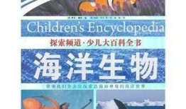 百科全书知识竞赛，探索知识的海洋