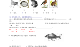 动物百科，题目及答案解析
