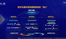 央视PP，中国电视媒体的数字化转型之路