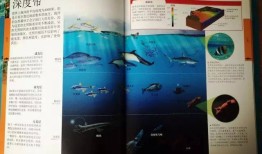 探索知识的海洋，如何高效下载和利用百科全书
