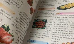 百科全书知识大全电子版，开启数字时代的知识宝库