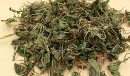 金银花搭配的艺术，传统草药与现代饮食的完美结合