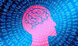 百科全书知识大全电子版，开启数字时代的知识宝库