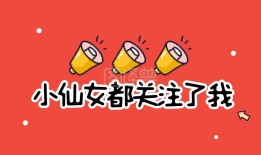 投资者互动平台官网，连接资本市场与投资者的桥梁