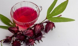 洛神花的完美搭配，健康与美味的双重享受