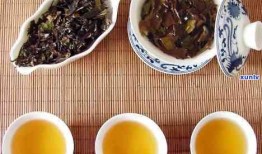 高血压患者能否饮用茶叶茶，了解茶与健康的关联