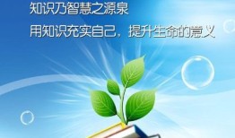 百科知识的特点及其在现代社会中的重要性