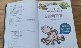 如何编写儿童百科问答及答案，创意与教育的完美结合