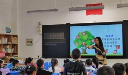 小学生拼音表，开启语言学习之旅的关键