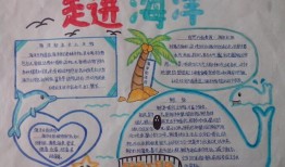 百科知识全书手抄报，探索知识的海洋