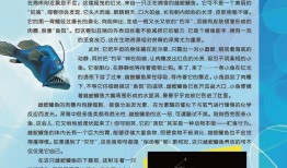 探索百科知识常识的广阔世界