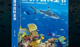 探索知识的海洋，儿童百科全书在线听的魅力