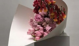 花艺搭配的艺术，如何形容花卉组合的和谐之美