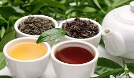 探索最佳降压降脂茶叶，天然健康之选