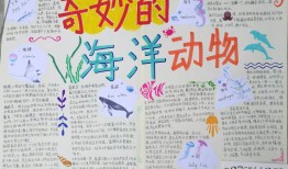 百科知识全书手抄报，探索知识的海洋