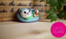 Panda Cats:Unveiling the Lesser-Known Facts in English
