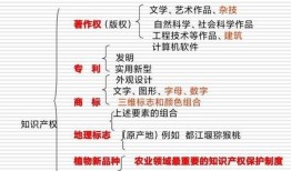百科知识的特点及其在现代社会中的重要性