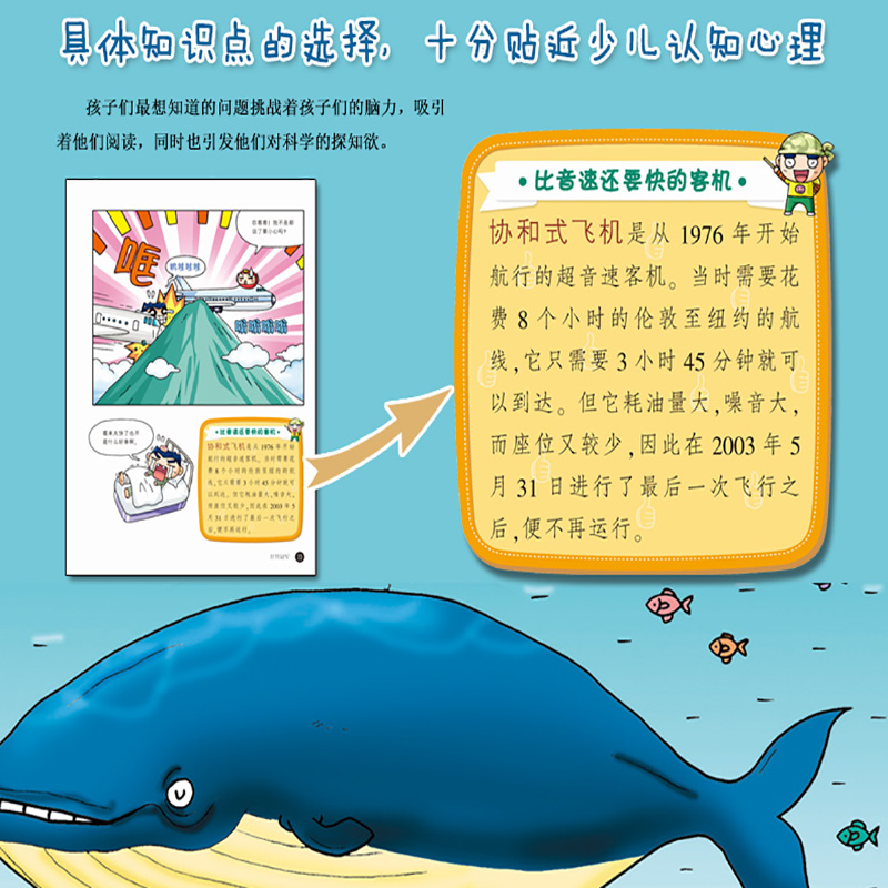 十万个小问题一问一答，探索知识的海洋