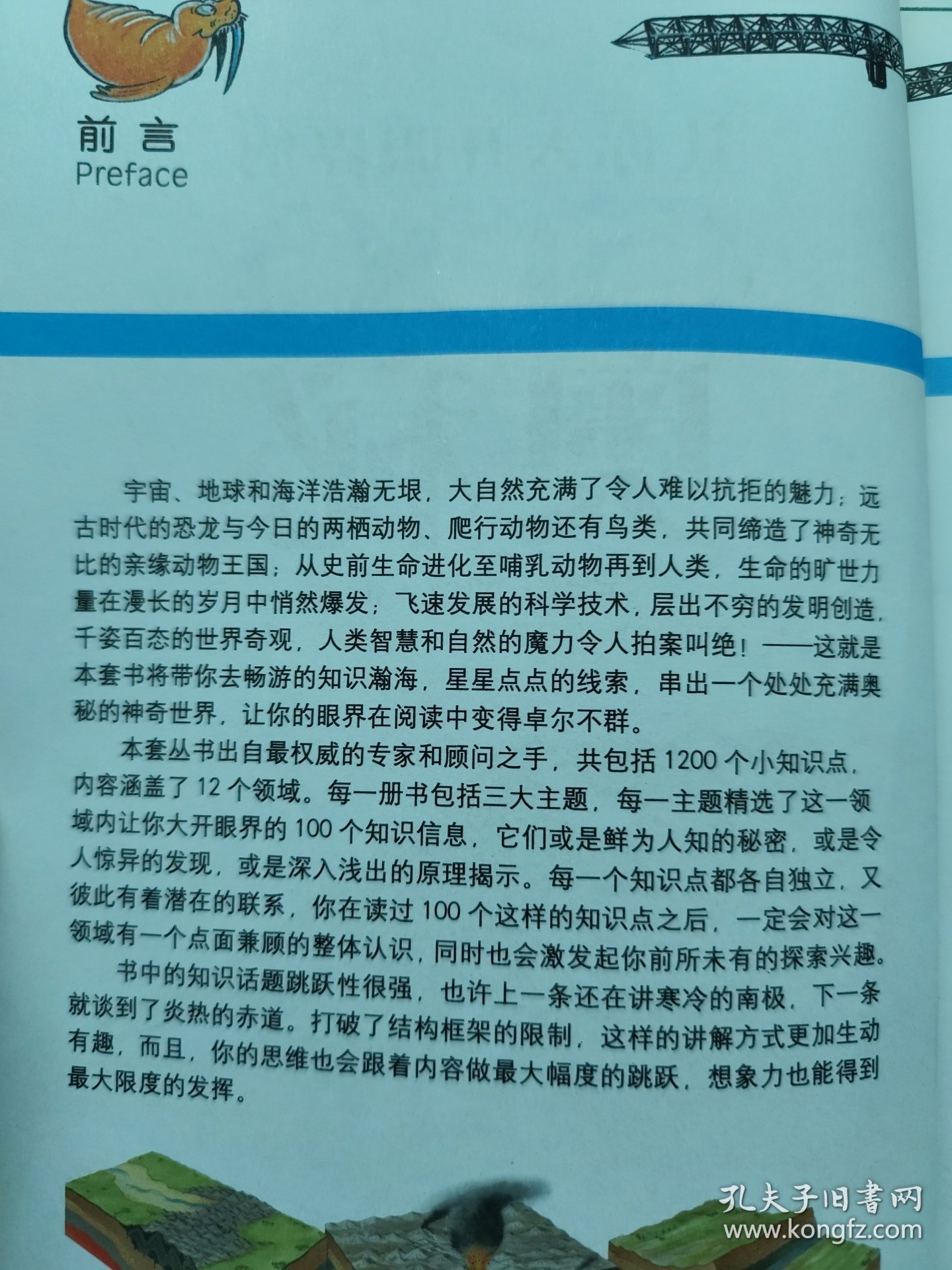 百科常识读后感，知识海洋中的璀璨明珠