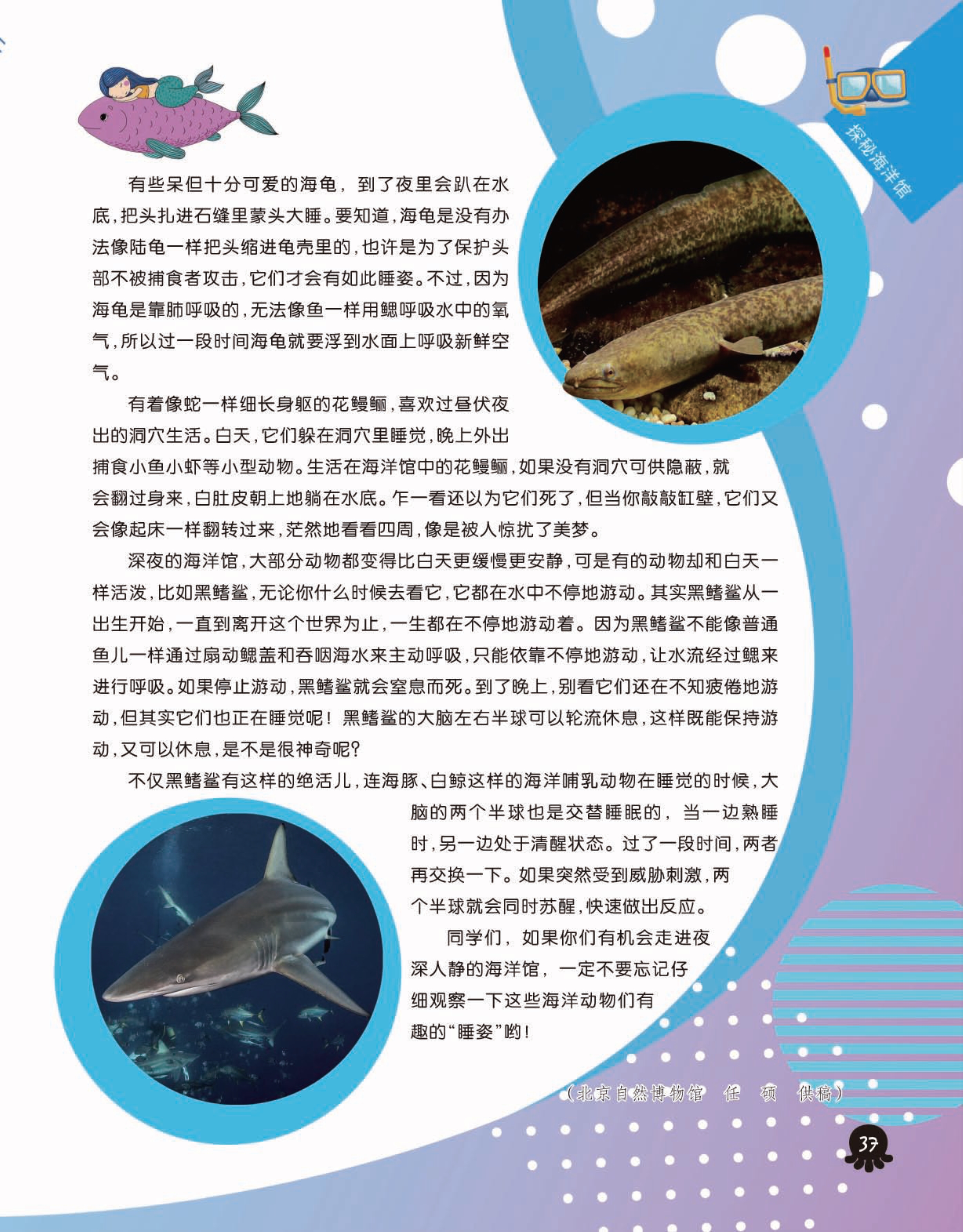 百科常识读后感，知识海洋中的璀璨明珠