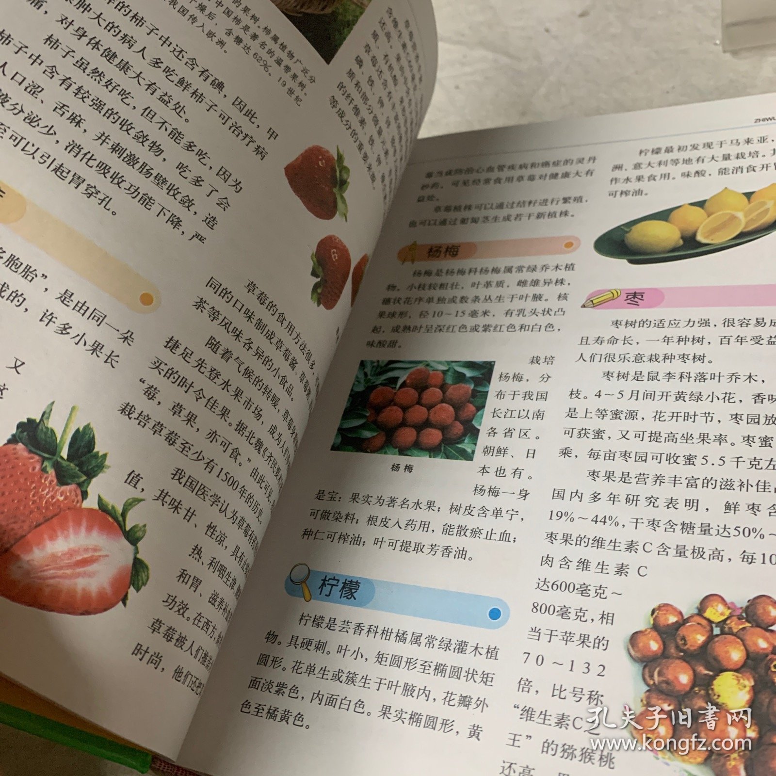 百科全书知识大全电子版，开启数字时代的知识宝库