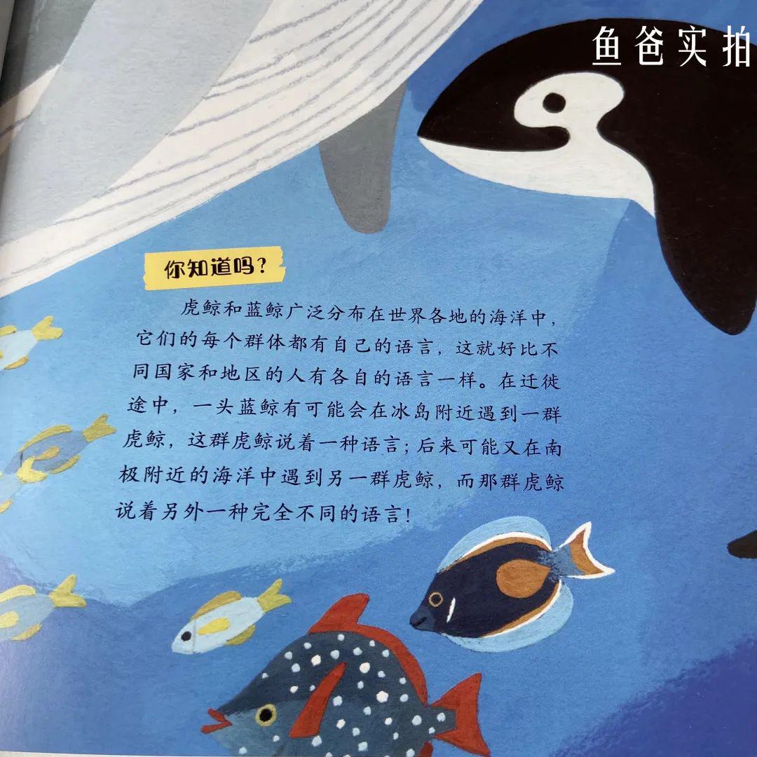 百科常识读后感，知识的海洋与智慧的灯塔